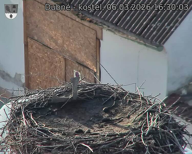 Capi_Dubne_20260306_163003.jpg (1350&nbsp;x&nbsp;1080)