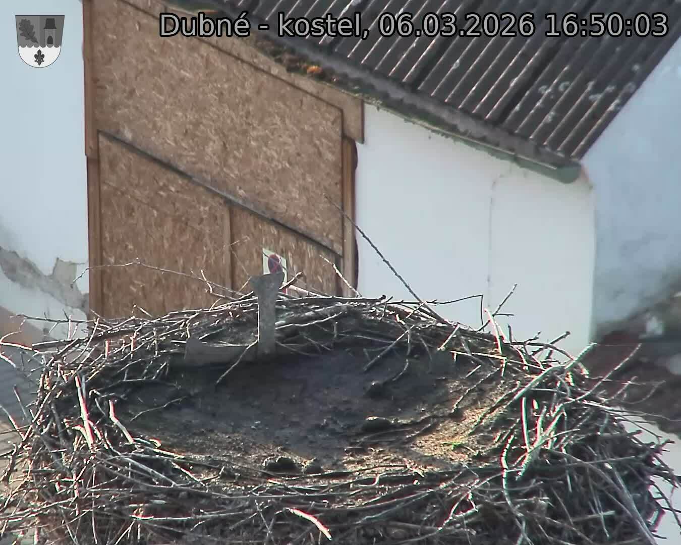 Capi_Dubne_20260306_165003.jpg (1350&nbsp;x&nbsp;1080)