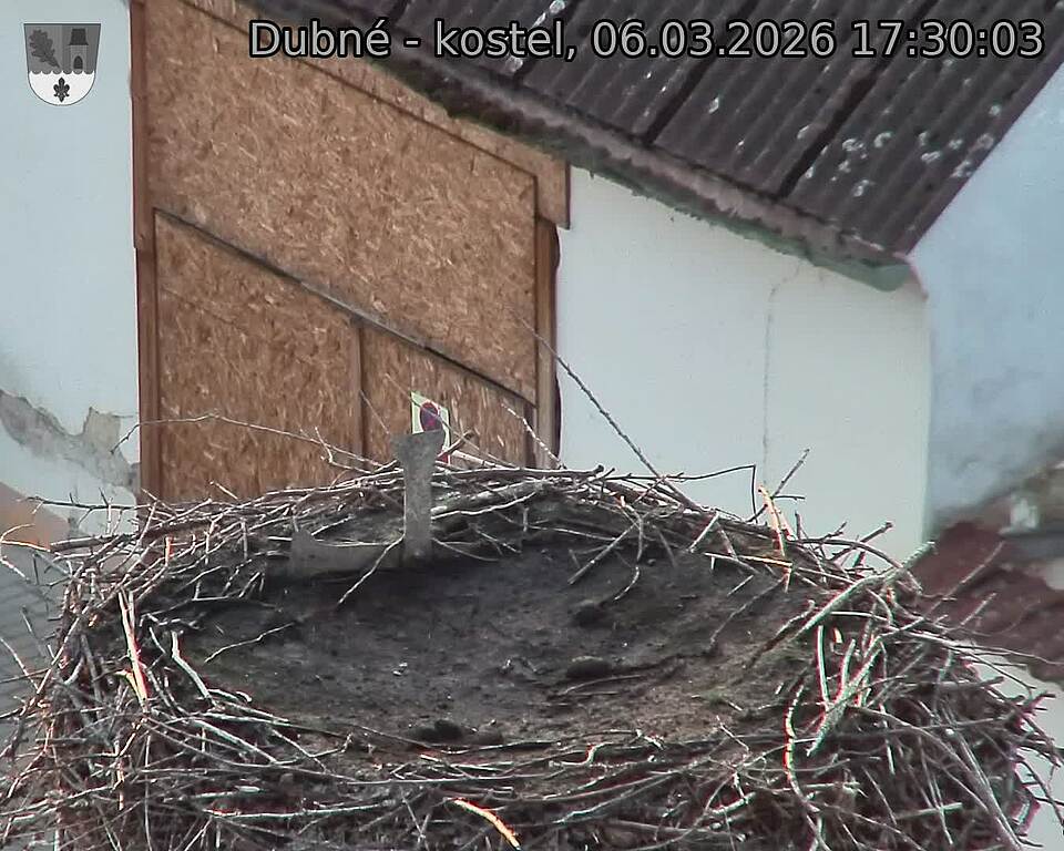 Capi_Dubne_20260306_173003.jpg (1350&nbsp;x&nbsp;1080)