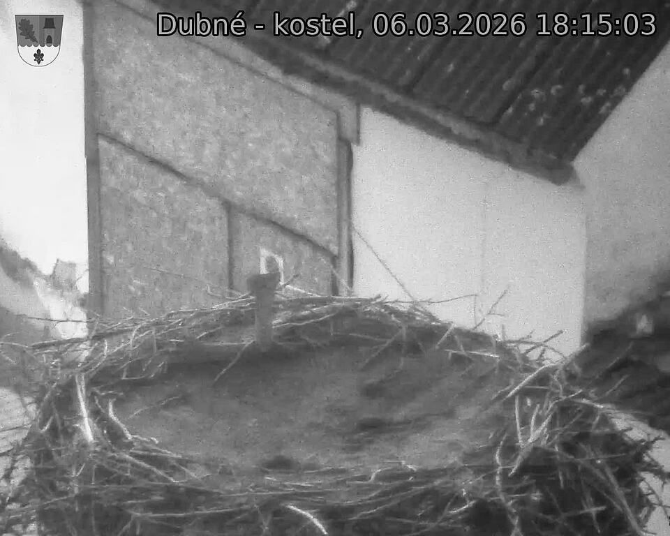 Capi_Dubne_20260306_181503.jpg (1350&nbsp;x&nbsp;1080)