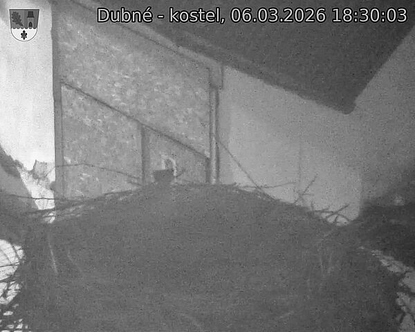 Capi_Dubne_20260306_183003.jpg (1350&nbsp;x&nbsp;1080)