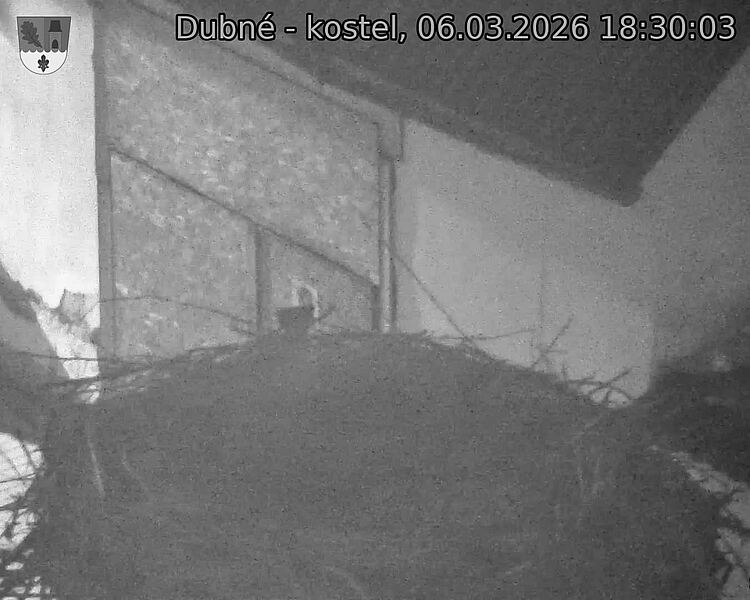 Capi_Dubne_20260306_183003.jpg (1350&nbsp;x&nbsp;1080)