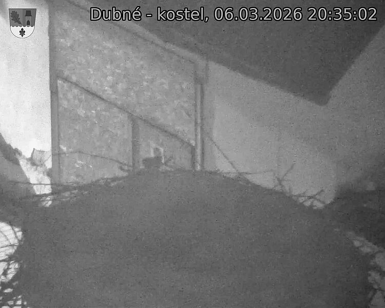 Capi_Dubne_20260306_203502.jpg (1350&nbsp;x&nbsp;1080)