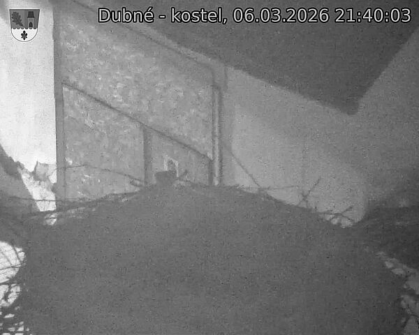 Capi_Dubne_20260306_214003.jpg (1350&nbsp;x&nbsp;1080)