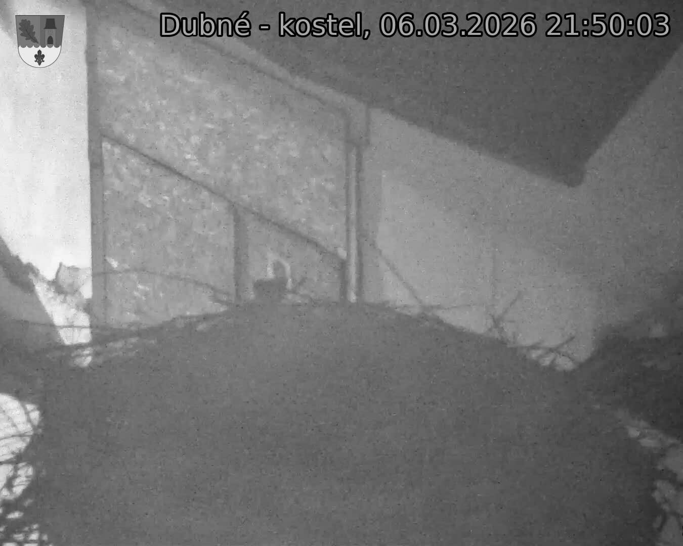 Capi_Dubne_20260306_215003.jpg (1350&nbsp;x&nbsp;1080)