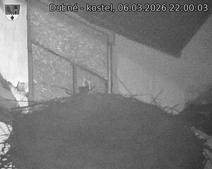 Capi_Dubne_20260306_220003.jpg (1350&nbsp;x&nbsp;1080)