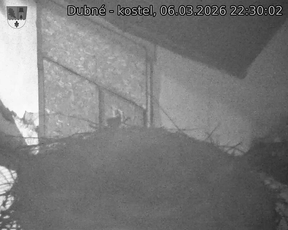 Capi_Dubne_20260306_223002.jpg (1350&nbsp;x&nbsp;1080)