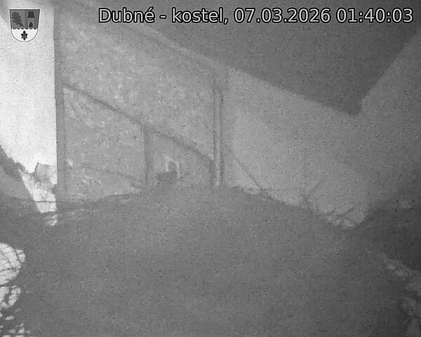 Capi_Dubne_20260307_014003.jpg (1350&nbsp;x&nbsp;1080)