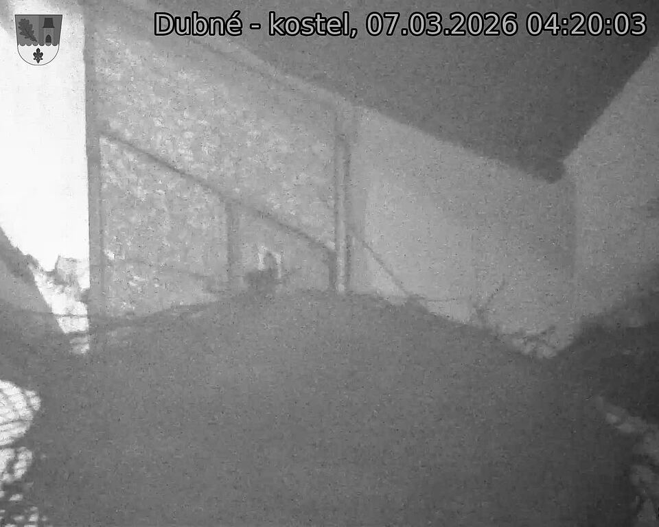 Capi_Dubne_20260307_042003.jpg (1350&nbsp;x&nbsp;1080)