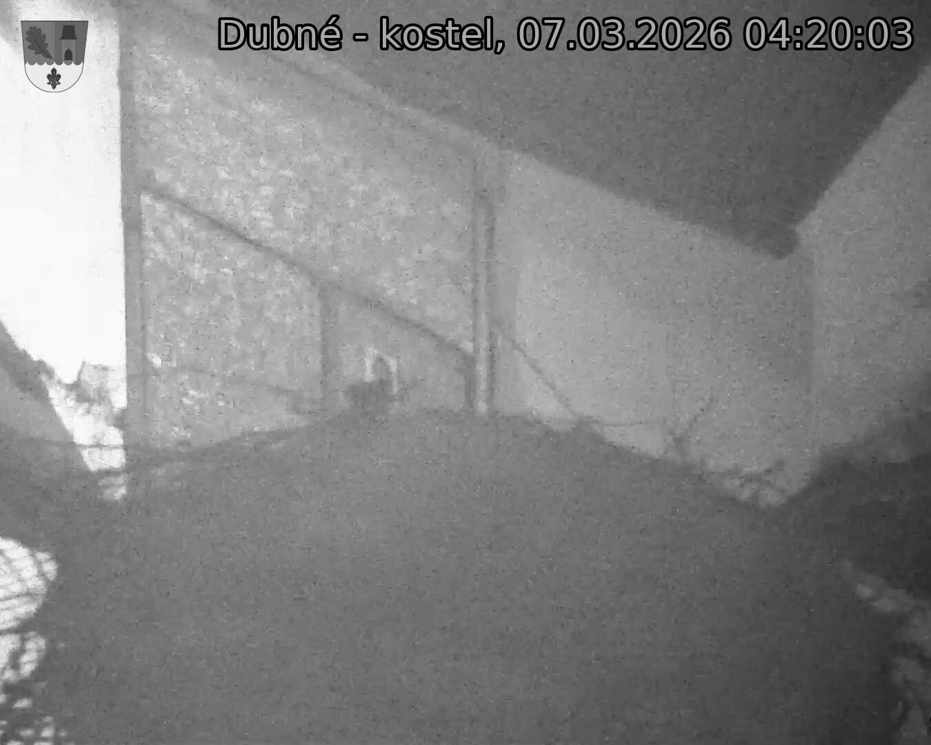 Capi_Dubne_20260307_042003.jpg (1350&nbsp;x&nbsp;1080)