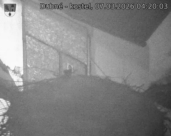 Capi_Dubne_20260307_042003.jpg (1350&nbsp;x&nbsp;1080)