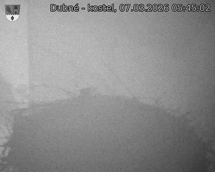 Capi_Dubne_20260307_054502.jpg (1350&nbsp;x&nbsp;1080)