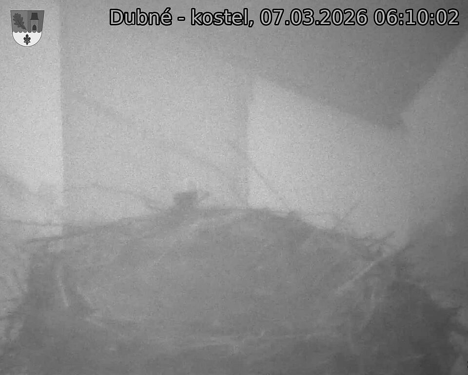 Capi_Dubne_20260307_061002.jpg (1350&nbsp;x&nbsp;1080)