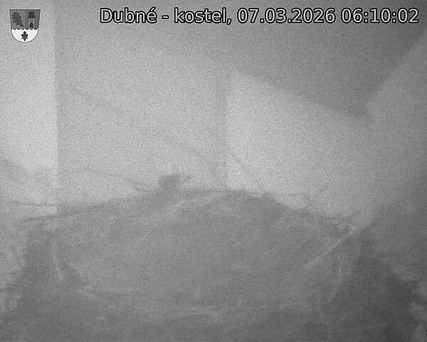 Capi_Dubne_20260307_061002.jpg (1350&nbsp;x&nbsp;1080)