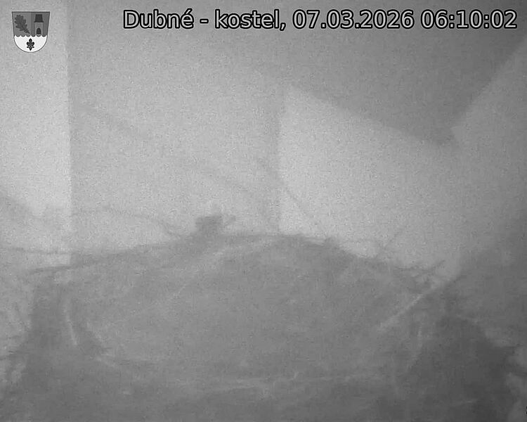Capi_Dubne_20260307_061002.jpg (1350&nbsp;x&nbsp;1080)