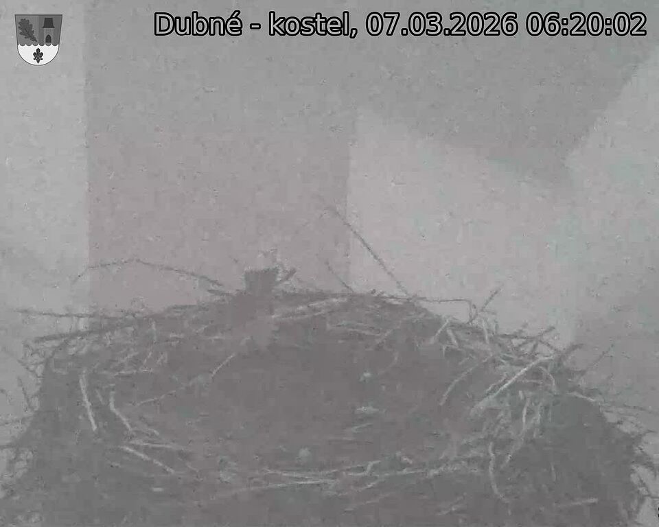 Capi_Dubne_20260307_062002.jpg (1350&nbsp;x&nbsp;1080)