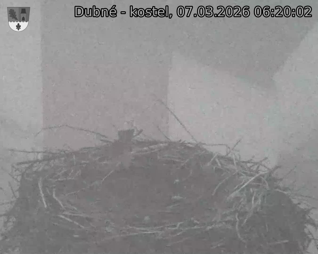 Capi_Dubne_20260307_062002.jpg (1350&nbsp;x&nbsp;1080)