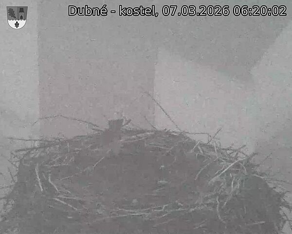 Capi_Dubne_20260307_062002.jpg (1350&nbsp;x&nbsp;1080)