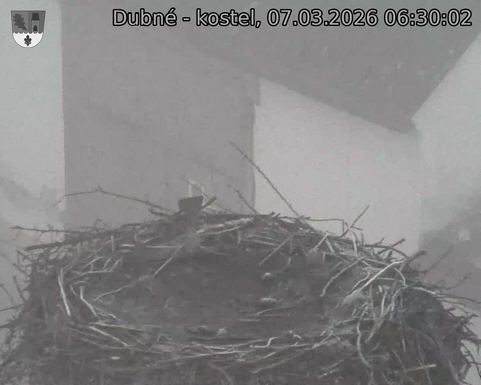 Capi_Dubne_20260307_063002.jpg (1350&nbsp;x&nbsp;1080)