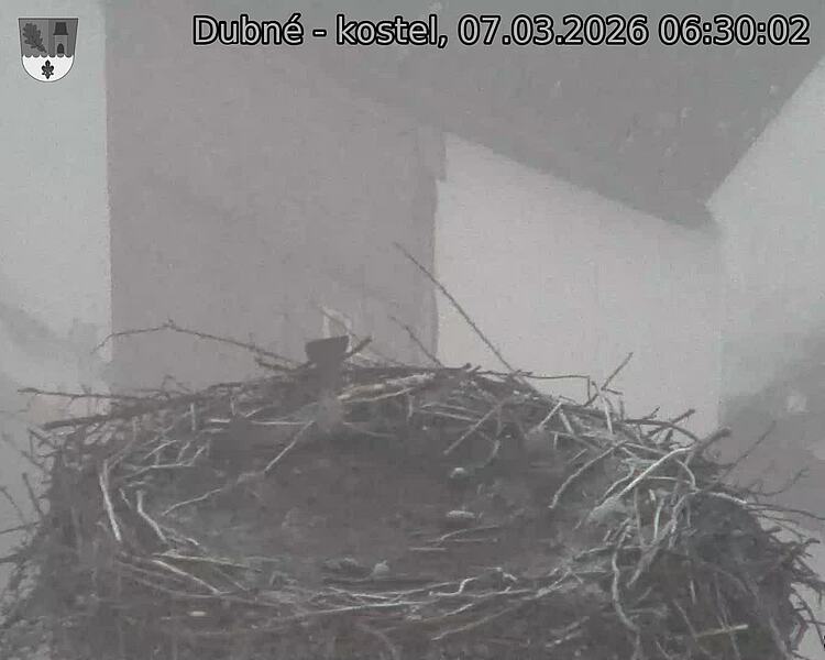 Capi_Dubne_20260307_063002.jpg (1350&nbsp;x&nbsp;1080)