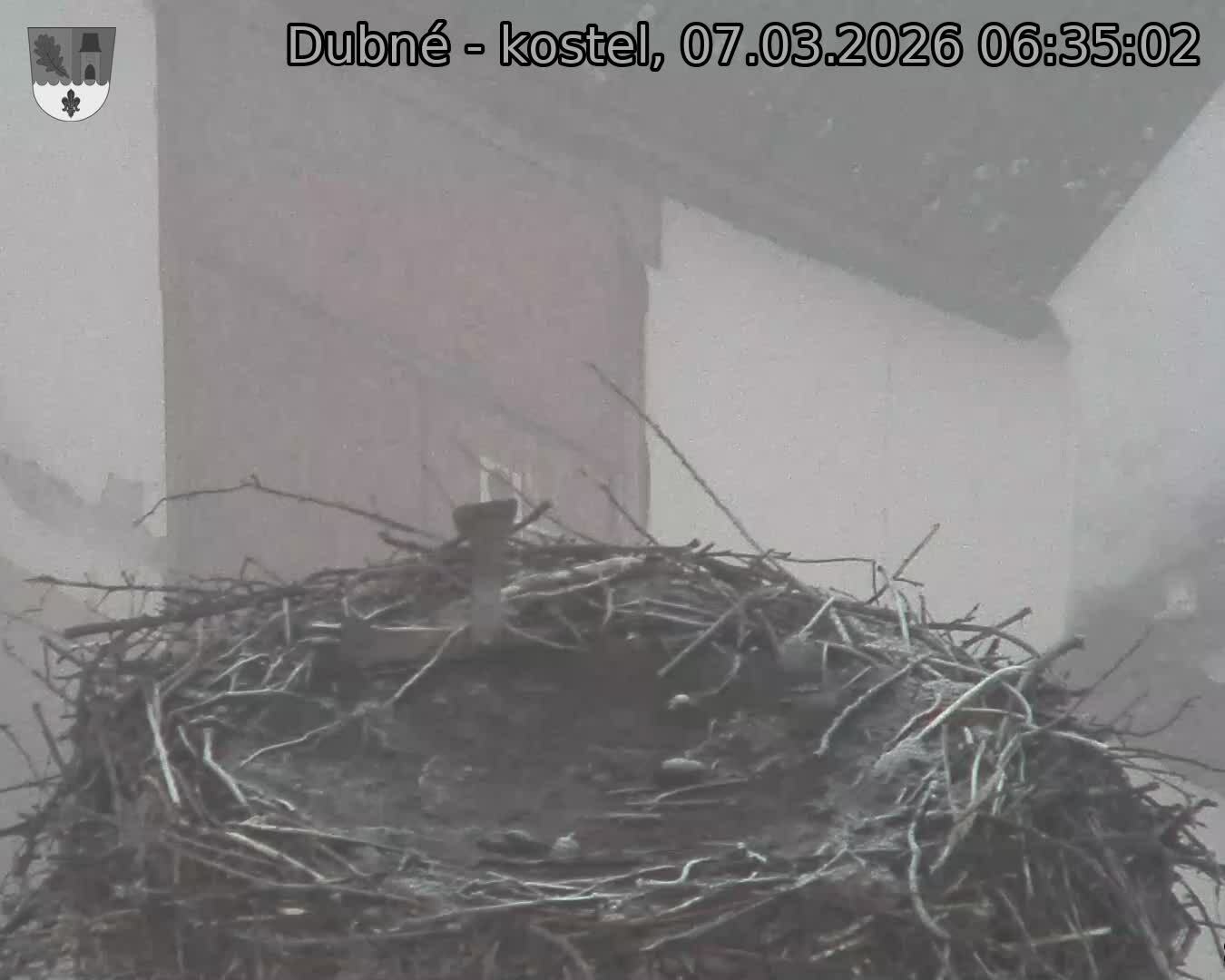 Capi_Dubne_20260307_063502.jpg (1350&nbsp;x&nbsp;1080)