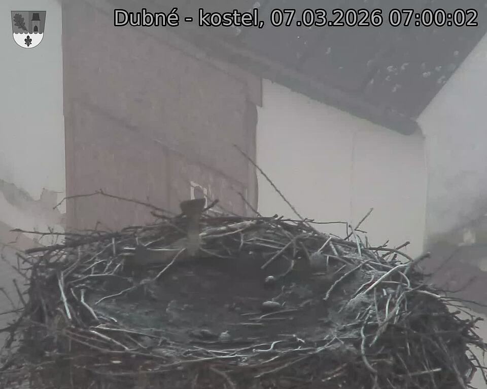 Capi_Dubne_20260307_070002.jpg (1350&nbsp;x&nbsp;1080)