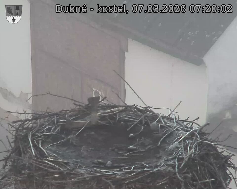 Capi_Dubne_20260307_072002.jpg (1350&nbsp;x&nbsp;1080)