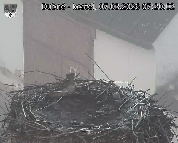 Capi_Dubne_20260307_072002.jpg (1350&nbsp;x&nbsp;1080)