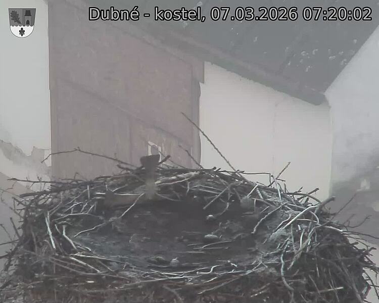 Capi_Dubne_20260307_072002.jpg (1350&nbsp;x&nbsp;1080)