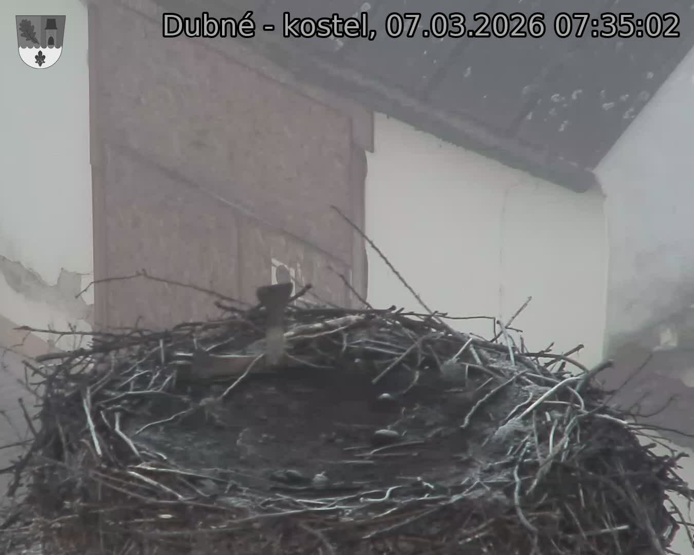 Capi_Dubne_20260307_073502.jpg (1350&nbsp;x&nbsp;1080)