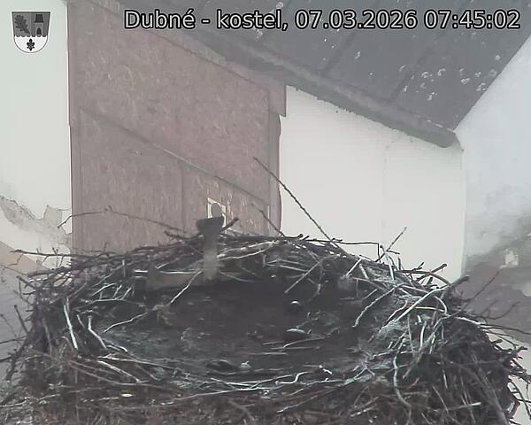 Capi_Dubne_20260307_074502.jpg (1350&nbsp;x&nbsp;1080)