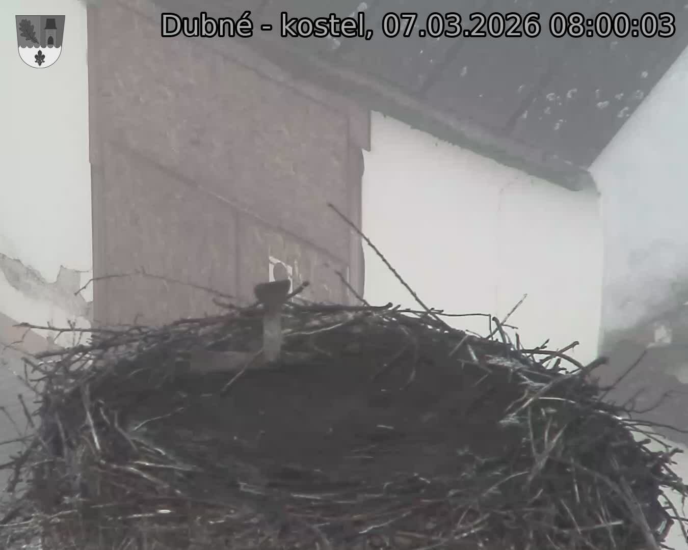 Capi_Dubne_20260307_080003.jpg (1350&nbsp;x&nbsp;1080)