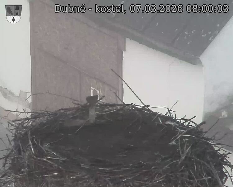 Capi_Dubne_20260307_080003.jpg (1350&nbsp;x&nbsp;1080)