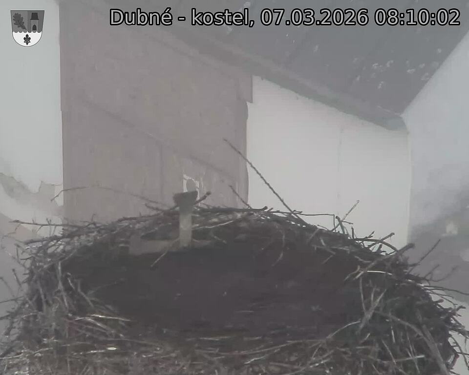 Capi_Dubne_20260307_081002.jpg (1350&nbsp;x&nbsp;1080)