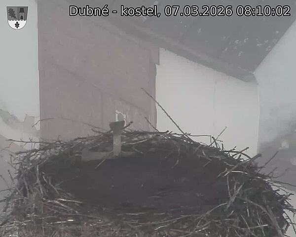 Capi_Dubne_20260307_081002.jpg (1350&nbsp;x&nbsp;1080)