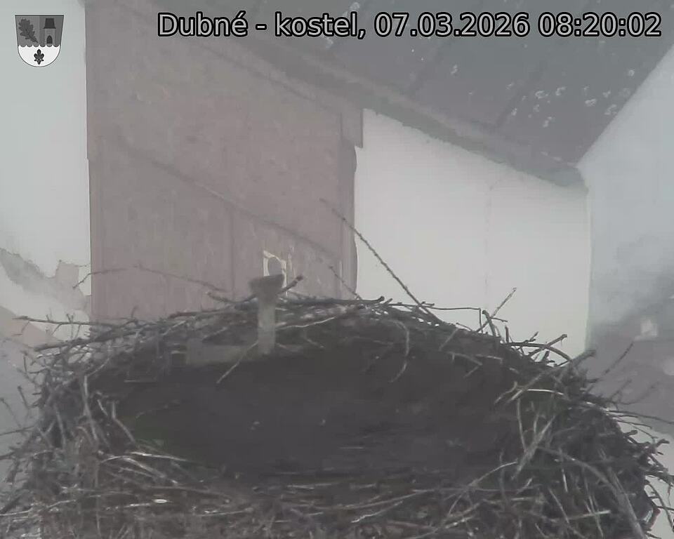 Capi_Dubne_20260307_082002.jpg (1350&nbsp;x&nbsp;1080)
