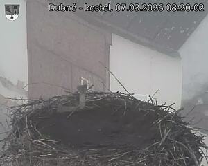 Capi_Dubne_20260307_082002.jpg (1350&nbsp;x&nbsp;1080)
