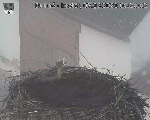 Capi_Dubne_20260307_082002.jpg (1350&nbsp;x&nbsp;1080)