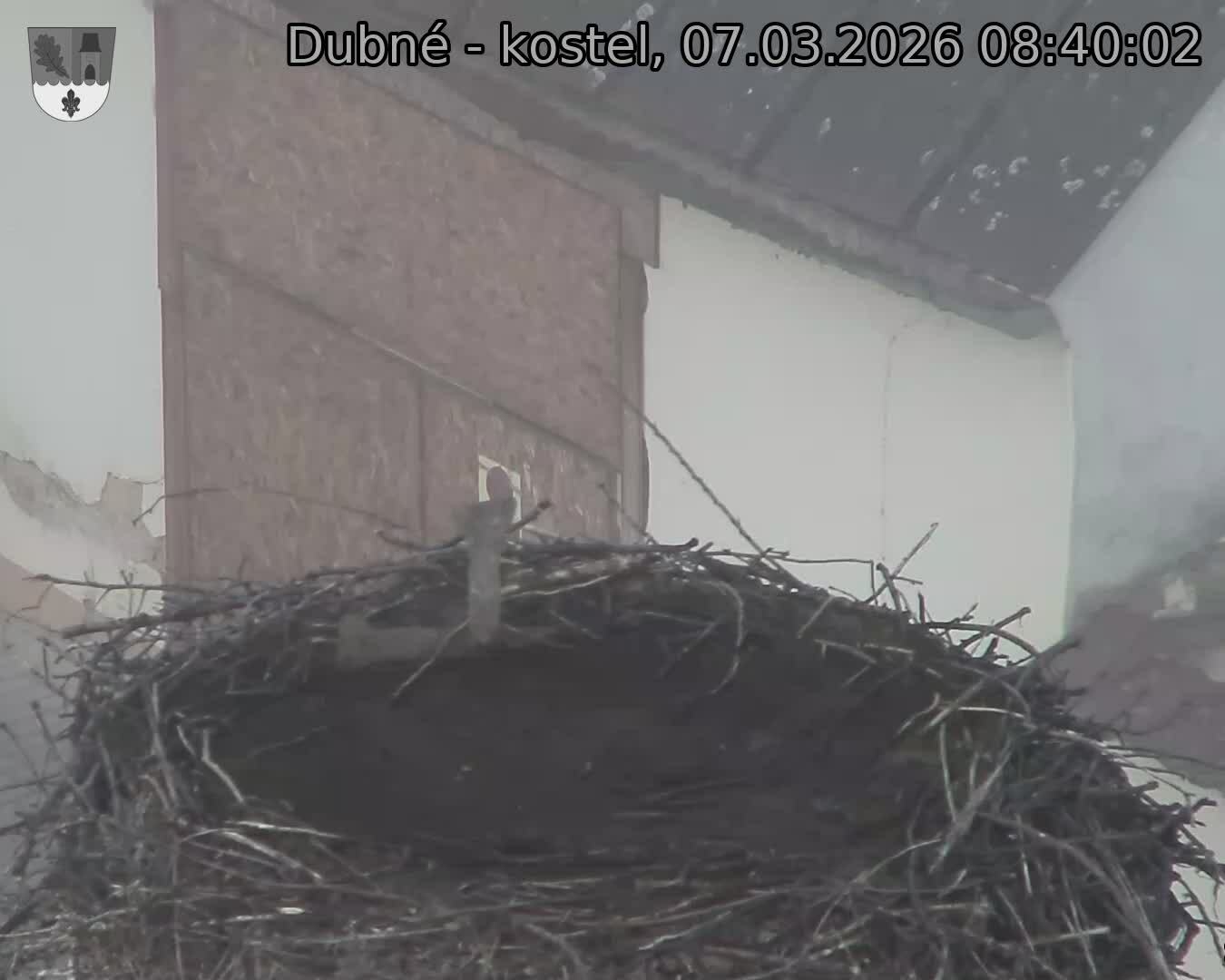 Capi_Dubne_20260307_084002.jpg (1350&nbsp;x&nbsp;1080)