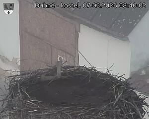 Capi_Dubne_20260307_084002.jpg (1350&nbsp;x&nbsp;1080)