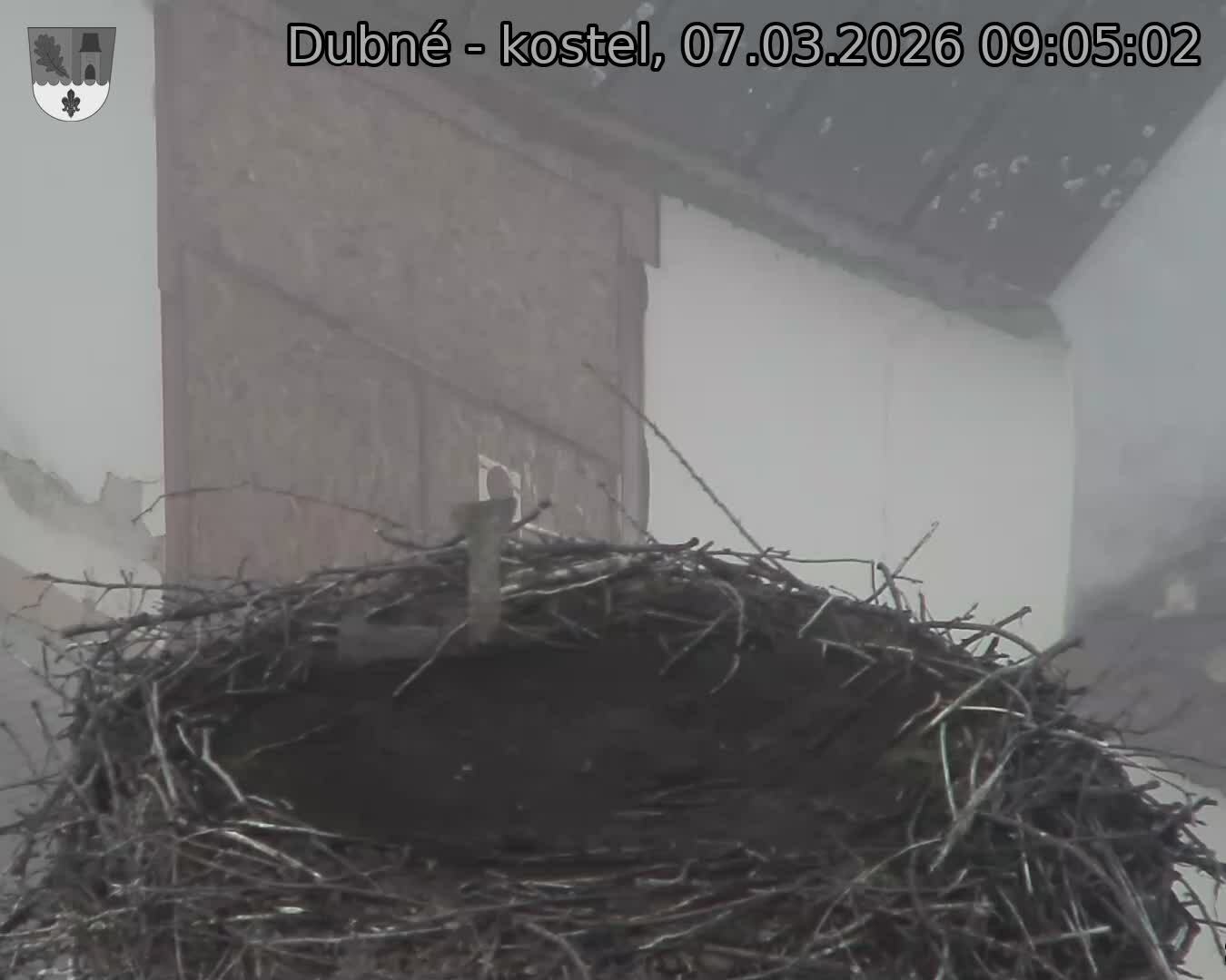 Capi_Dubne_20260307_090502.jpg (1350&nbsp;x&nbsp;1080)