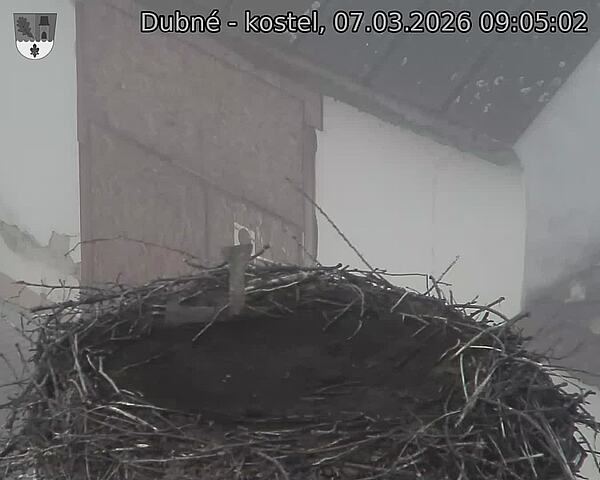 Capi_Dubne_20260307_090502.jpg (1350&nbsp;x&nbsp;1080)