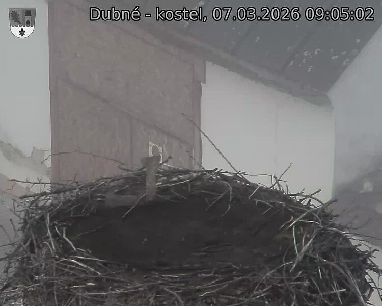 Capi_Dubne_20260307_090502.jpg (1350&nbsp;x&nbsp;1080)