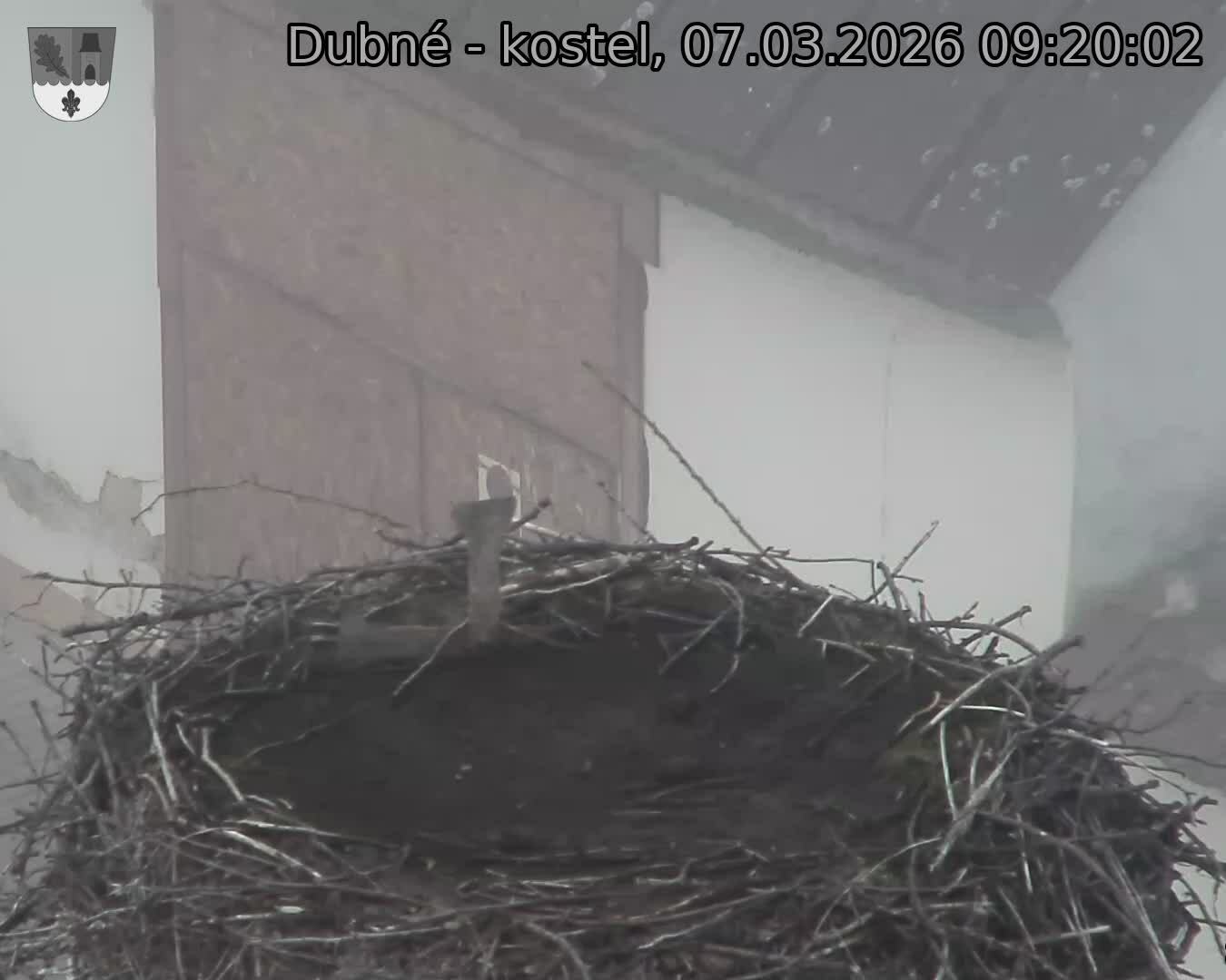 Capi_Dubne_20260307_092002.jpg (1350&nbsp;x&nbsp;1080)