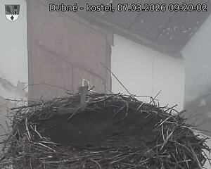 Capi_Dubne_20260307_092002.jpg (1350&nbsp;x&nbsp;1080)