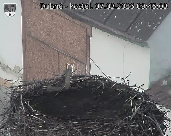 Capi_Dubne_20260307_094503.jpg (1350&nbsp;x&nbsp;1080)