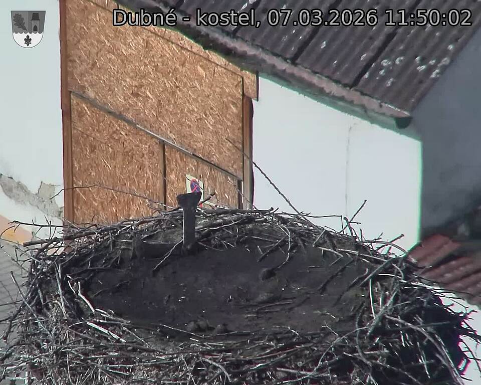 Capi_Dubne_20260307_115002.jpg (1350&nbsp;x&nbsp;1080)