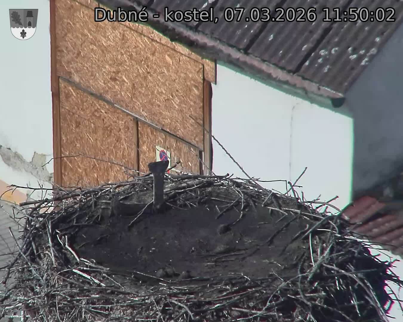 Capi_Dubne_20260307_115002.jpg (1350&nbsp;x&nbsp;1080)