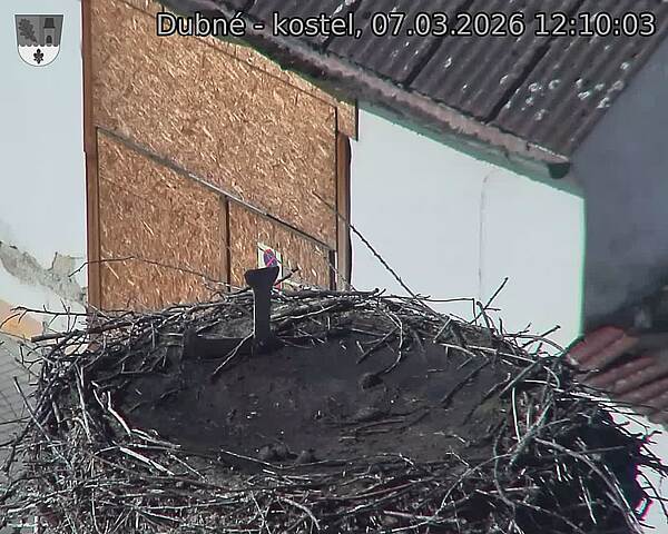 Capi_Dubne_20260307_121003.jpg (1350&nbsp;x&nbsp;1080)