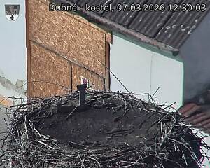 Capi_Dubne_20260307_123003.jpg (1350&nbsp;x&nbsp;1080)